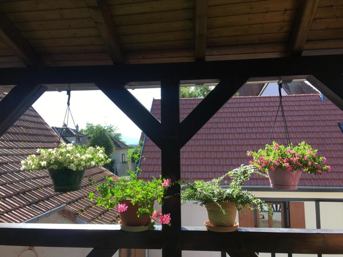 Bienvenue En Alsace Apartment Huttenheim Exterior photo