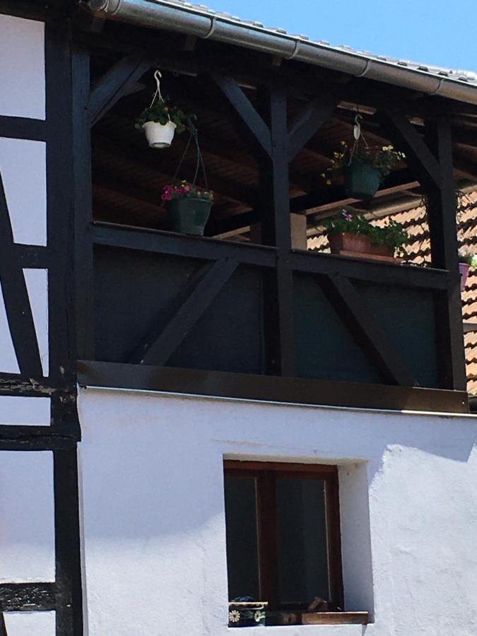 Bienvenue En Alsace Apartment Huttenheim Exterior photo