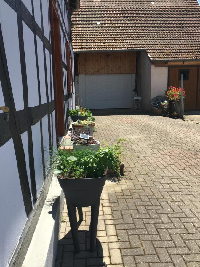 Bienvenue En Alsace Apartment Huttenheim Exterior photo