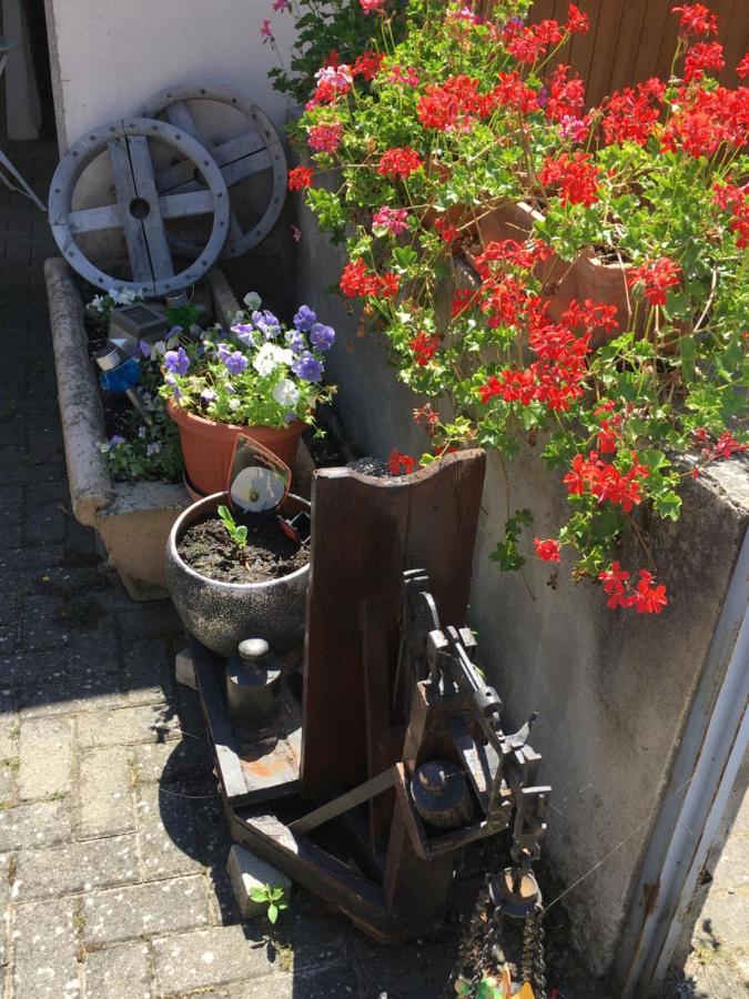 Bienvenue En Alsace Apartment Huttenheim Exterior photo